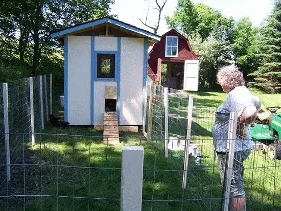 photo chicken coop brady 1