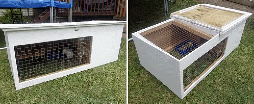 guinea pig hutch